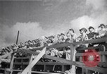 Immagine di Air Force firepower dimostrazione United States USA, 1950, secondo 12 filmato di repertorio 65675040233