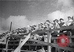 Immagine di Air Force firepower dimostrazione United States USA, 1950, secondo 13 filmato di repertorio 65675040233
