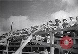 Immagine di Air Force firepower dimostrazione United States USA, 1950, secondo 14 filmato di repertorio 65675040233