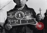 Image of young Yugoslav boys Belgrade Yugoslavia, 1945, second 21 stock footage video 65675040257