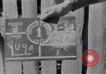 Immagine di Truppe iugoslave Belgrado Iugoslavia, 1945, secondo 1 filmato di repertorio 65675040261
