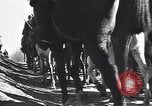 Immagine di Truppe iugoslave Belgrado Iugoslavia, 1945, secondo 47 filmato di repertorio 65675040261