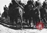 Immagine di Truppe iugoslave Belgrado Iugoslavia, 1945, secondo 56 filmato di repertorio 65675040261