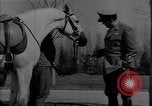 Standbild Marschall Josip Broz Tito Belgrad Jugoslawien, 1945, aus Sekunde 13 historischem Filmmaterial Videoclip 65675040263
