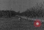 Standbild Marschall Josip Broz Tito Belgrad Jugoslawien, 1945, aus Sekunde 38 historischem Filmmaterial Videoclip 65675040263