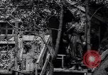 Standbild Marschall Tito Jugoslawien, 1944, aus Sekunde 26 historischem Filmmaterial Videoclip 65675040273
