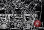 Standbild Marschall Tito Jugoslawien, 1944, aus Sekunde 28 historischem Filmmaterial Videoclip 65675040273