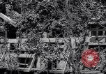 Standbild Marschall Tito Jugoslawien, 1944, aus Sekunde 31 historischem Filmmaterial Videoclip 65675040273