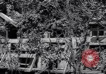 Standbild Marschall Tito Jugoslawien, 1944, aus Sekunde 32 historischem Filmmaterial Videoclip 65675040273