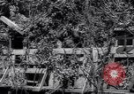 Standbild Marschall Tito Jugoslawien, 1944, aus Sekunde 33 historischem Filmmaterial Videoclip 65675040273