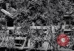 Standbild Marschall Tito Jugoslawien, 1944, aus Sekunde 34 historischem Filmmaterial Videoclip 65675040273