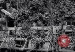 Standbild Marschall Tito Jugoslawien, 1944, aus Sekunde 35 historischem Filmmaterial Videoclip 65675040273