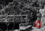 Standbild Marschall Tito Jugoslawien, 1944, aus Sekunde 52 historischem Filmmaterial Videoclip 65675040273