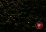 Image of young oysters Virginia United States USA, 1947, second 4 stock footage video 65675040284