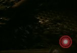 Image of young oysters Virginia United States USA, 1947, second 14 stock footage video 65675040284