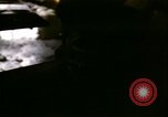 Image of young oysters Virginia United States USA, 1947, second 20 stock footage video 65675040284