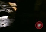 Image of young oysters Virginia United States USA, 1947, second 21 stock footage video 65675040284