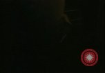 Image of young oysters Virginia United States USA, 1947, second 52 stock footage video 65675040284