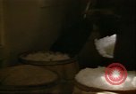 Image of young oysters Virginia United States USA, 1947, second 55 stock footage video 65675040284