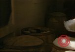 Image of young oysters Virginia United States USA, 1947, second 58 stock footage video 65675040284