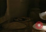 Image of young oysters Virginia United States USA, 1947, second 59 stock footage video 65675040284
