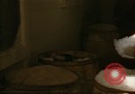 Image of young oysters Virginia United States USA, 1947, second 61 stock footage video 65675040284