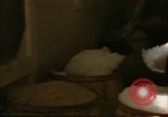Image of young oysters Virginia United States USA, 1947, second 62 stock footage video 65675040284