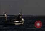 Standbild junge Austern Virginia United States USA, 1947, aus Sekunde 27 historischem Filmmaterial Videoclip 65675040285