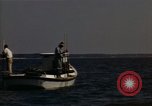 Standbild junge Austern Virginia United States USA, 1947, aus Sekunde 30 historischem Filmmaterial Videoclip 65675040285