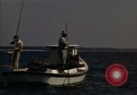 Standbild junge Austern Virginia United States USA, 1947, aus Sekunde 37 historischem Filmmaterial Videoclip 65675040285