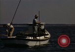 Standbild junge Austern Virginia United States USA, 1947, aus Sekunde 38 historischem Filmmaterial Videoclip 65675040285