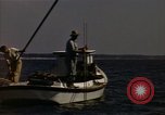 Standbild junge Austern Virginia United States USA, 1947, aus Sekunde 39 historischem Filmmaterial Videoclip 65675040285