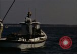 Standbild junge Austern Virginia United States USA, 1947, aus Sekunde 41 historischem Filmmaterial Videoclip 65675040285