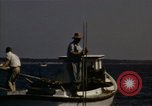 Standbild junge Austern Virginia United States USA, 1947, aus Sekunde 43 historischem Filmmaterial Videoclip 65675040285