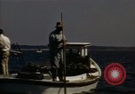 Standbild junge Austern Virginia United States USA, 1947, aus Sekunde 44 historischem Filmmaterial Videoclip 65675040285