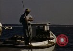 Standbild junge Austern Virginia United States USA, 1947, aus Sekunde 46 historischem Filmmaterial Videoclip 65675040285