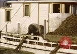 Standbild junge Austern Virginia United States USA, 1947, aus Sekunde 52 historischem Filmmaterial Videoclip 65675040286