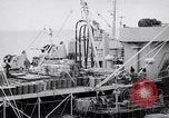 Image of USS Chara supply transfer Pacific Ocean, 1950, second 8 stock footage video 65675040317