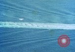 Immagine di Il comandante Johnson Mayport Florida USA, 1964, secondo 4 filmato di repertorio 65675040342