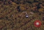 Standbild AH-1G und OH-6A Hubschrauber Vietnam, 1968, aus Sekunde 14 historischem Filmmaterial Videoclip 65675040351