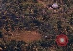 Standbild AH-1G und OH-6A Hubschrauber Vietnam, 1968, aus Sekunde 28 historischem Filmmaterial Videoclip 65675040351