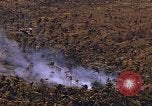 Standbild AH-1G und OH-6A Hubschrauber Vietnam, 1968, aus Sekunde 44 historischem Filmmaterial Videoclip 65675040351