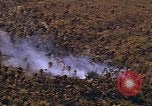 Standbild AH-1G und OH-6A Hubschrauber Vietnam, 1968, aus Sekunde 45 historischem Filmmaterial Videoclip 65675040351
