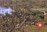 Standbild AH-1G und OH-6A Hubschrauber Vietnam, 1968, aus Sekunde 53 historischem Filmmaterial Videoclip 65675040351