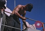 Immagine di USS Harnet County Vietnam del Sud, 1967, secondo 15 filmato di repertorio 65675040357