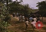 Immagine di Navy corpsman conduce clinica nel villaggio Vietnamita Vietnam del Sud, 1967, secondo 56 filmato di repertorio 65675040358