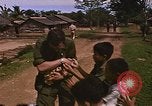 Immagine di Navy corpsman conduce clinica nel villaggio Vietnamita Vietnam del Sud, 1967, secondo 62 filmato di repertorio 65675040358