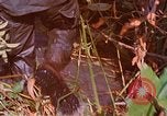 Immagine di Bastoni punji Il Vietnam, 1968, secondo 3 filmato di repertorio 65675040362