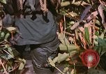 Immagine di Bastoni punji Il Vietnam, 1968, secondo 5 filmato di repertorio 65675040362
