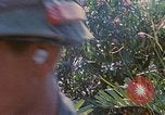 Immagine di Bastoni punji Il Vietnam, 1968, secondo 16 filmato di repertorio 65675040362